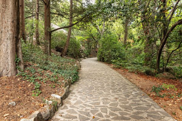 Stone Walkway Repair in Anoka