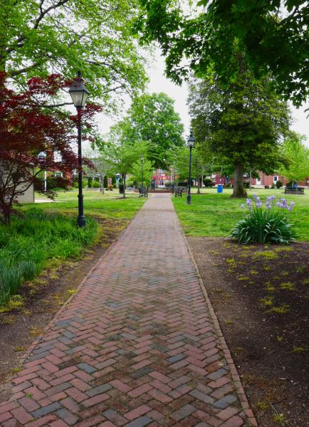Brick Pathway Repair in Anoka
